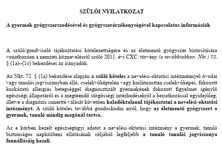 Nyilatkozat
